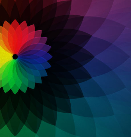 云呼网页版在线轰炸机